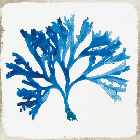 Blue Coral IV Black Modern Wood Framed Art Print with Double Matting by Wilson, Aimee