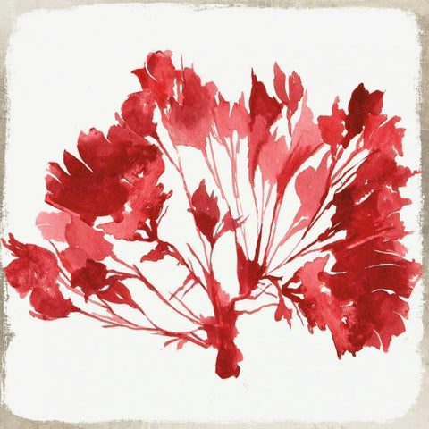 Red Coral IV Black Modern Wood Framed Art Print by Wilson, Aimee