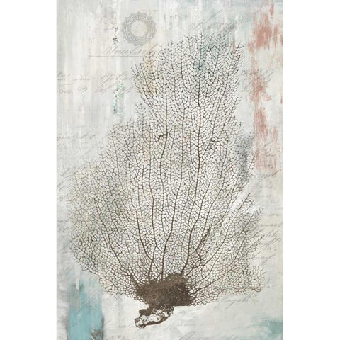 Shabby Chic I Black Modern Wood Framed Art Print by Wilson, Aimee