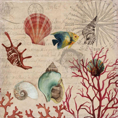 Coral I White Modern Wood Framed Art Print with Double Matting by Wilson, Aimee