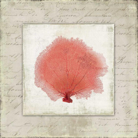Coral Linen I White Modern Wood Framed Art Print with Double Matting by Wilson, Aimee