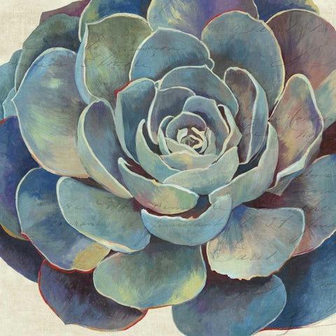 Succulence I - Mini White Modern Wood Framed Art Print by Wilson, Aimee