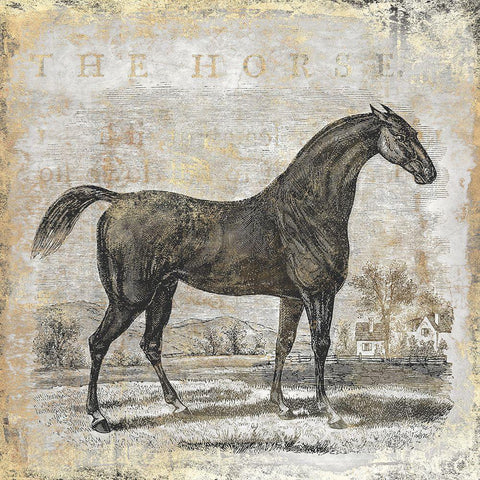 Gold Stallion II  Gold Ornate Wood Framed Art Print with Double Matting by Zalewski, Christine