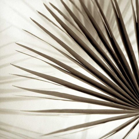 Florison - 66 White Modern Wood Framed Art Print with Double Matting by Blaustein, Alan