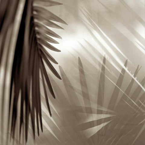 Florison - 55 Black Modern Wood Framed Art Print by Blaustein, Alan