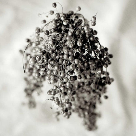 Florison - 38 Black Modern Wood Framed Art Print with Double Matting by Blaustein, Alan