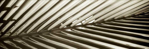 Florison - 100 White Modern Wood Framed Art Print with Double Matting by Blaustein, Alan