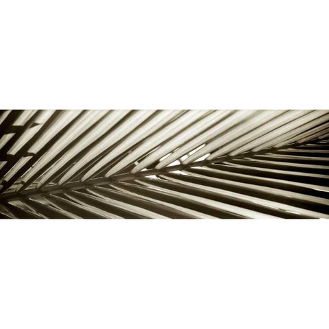 Florison - 100 Black Modern Wood Framed Art Print with Double Matting by Blaustein, Alan