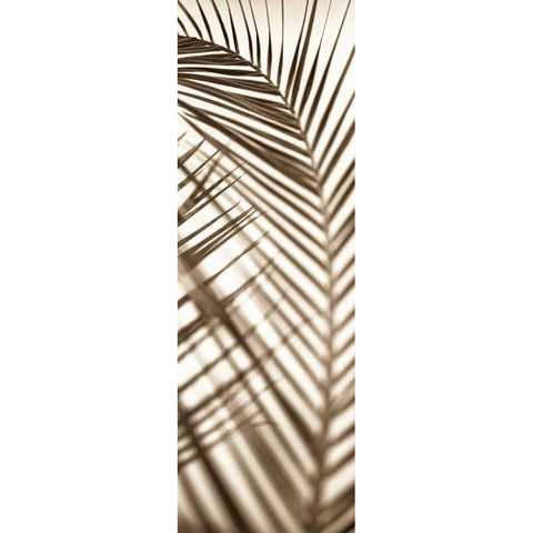 Florison - 72 Black Modern Wood Framed Art Print by Blaustein, Alan