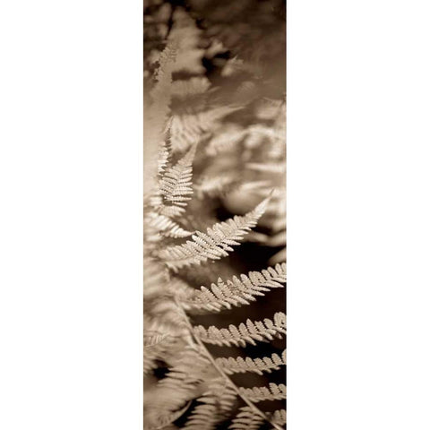 Florison - 80 Black Modern Wood Framed Art Print with Double Matting by Blaustein, Alan