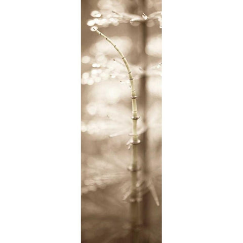 Florison - 94 White Modern Wood Framed Art Print by Blaustein, Alan