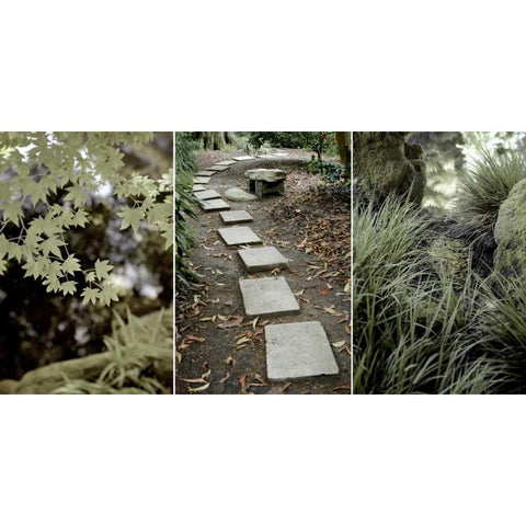 Parc Panel White Modern Wood Framed Art Print by Blaustein, Alan