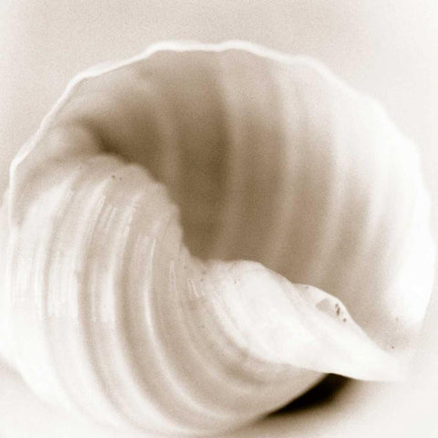 Atlantis 4 White Modern Wood Framed Art Print by Blaustein, Alan