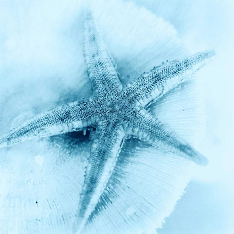 Nautica No1 Black Modern Wood Framed Art Print with Double Matting by Blaustein, Alan