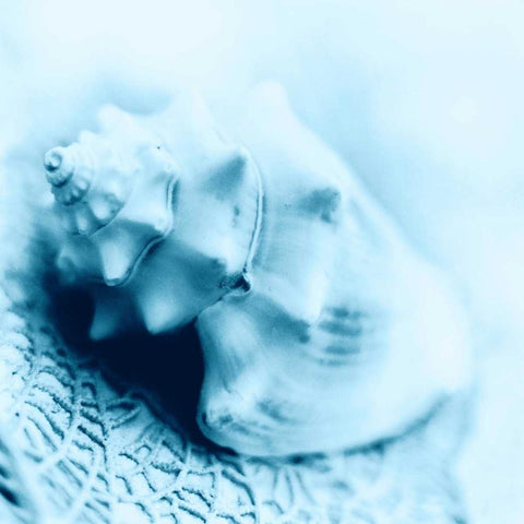 Nautica No4 White Modern Wood Framed Art Print with Double Matting by Blaustein, Alan