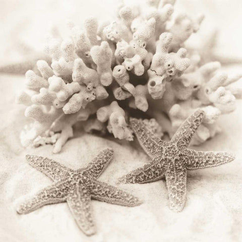 La Mer 1 Black Modern Wood Framed Art Print by Blaustein, Alan