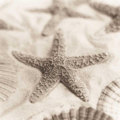 La Mer 2 Gold Ornate Wood Framed Art Print with Double Matting by Blaustein, Alan