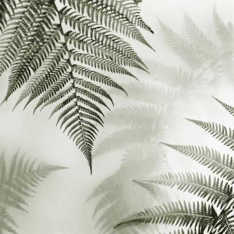 Ferns No. 1 Black Modern Wood Framed Art Print with Double Matting by Blaustein, Alan