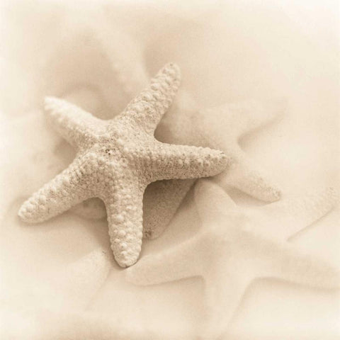 Il Oceano No. 1 White Modern Wood Framed Art Print by Blaustein, Alan