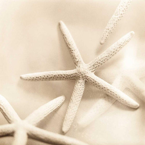 Il Oceano No. 2 Gold Ornate Wood Framed Art Print with Double Matting by Blaustein, Alan