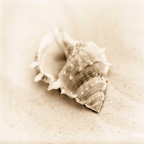 Il Oceano No. 3 White Modern Wood Framed Art Print with Double Matting by Blaustein, Alan