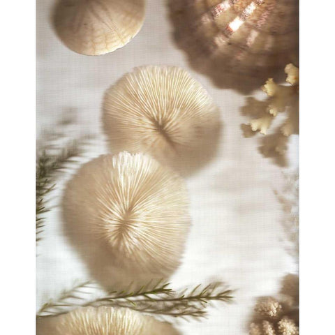 Nautical Illuminations No.2 Black Modern Wood Framed Art Print by Blaustein, Alan