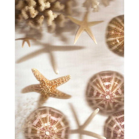 Nautical Illuminations No.3 White Modern Wood Framed Art Print by Blaustein, Alan