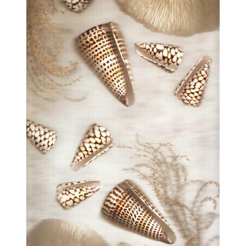 Nautical Illuminations No.4 White Modern Wood Framed Art Print by Blaustein, Alan