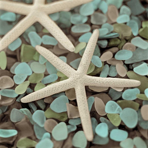 Aquatic 1 White Modern Wood Framed Art Print by Blaustein, Alan