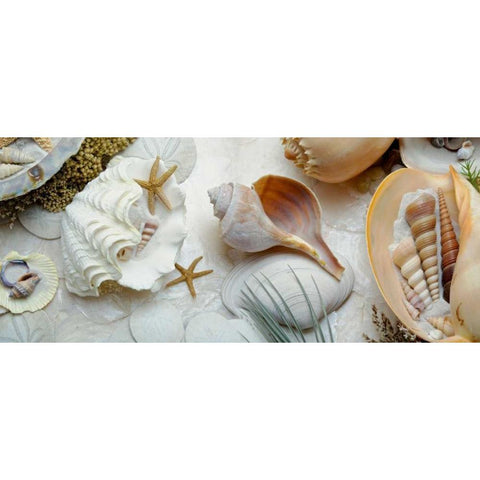 Island Tide Pool No. 3 Gold Ornate Wood Framed Art Print with Double Matting by Blaustein, Alan