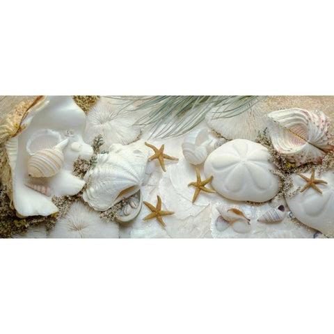 Island Tide Pool No. 5 Black Modern Wood Framed Art Print with Double Matting by Blaustein, Alan