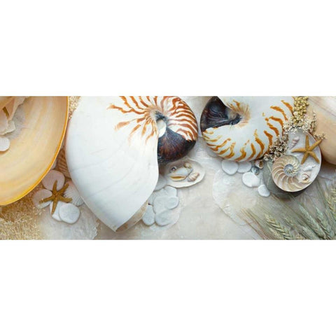 Island Tide Pool No. 8 Gold Ornate Wood Framed Art Print with Double Matting by Blaustein, Alan