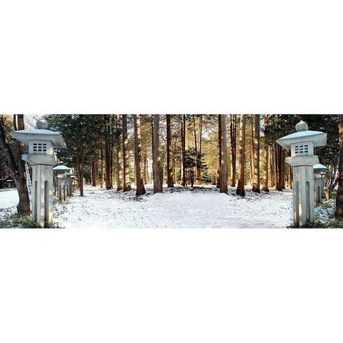 Hokkaido 12 Gold Ornate Wood Framed Art Print with Double Matting by Blaustein, Alan