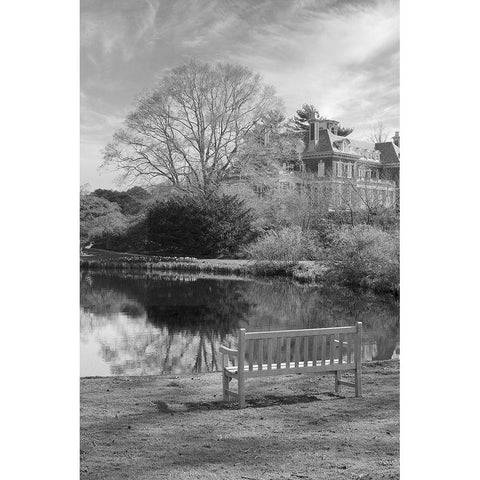 Coastal Oak Series No. 63 White Modern Wood Framed Art Print by Blaustein, Alan