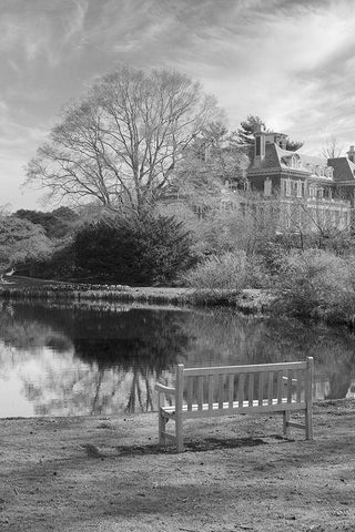 Coastal Oak Series No. 63 White Modern Wood Framed Art Print with Double Matting by Blaustein, Alan