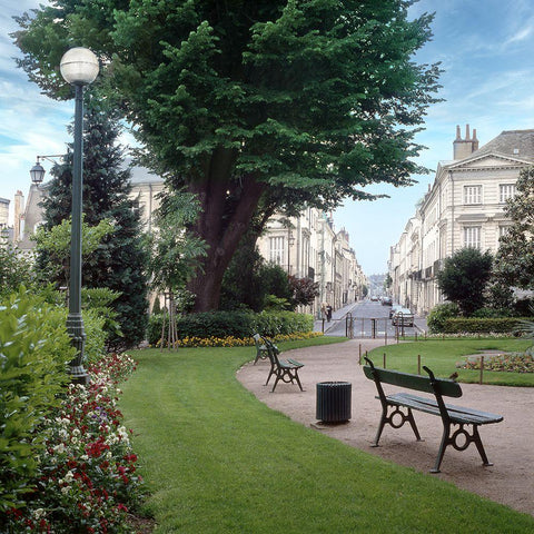 French Jardin No. 14 Black Modern Wood Framed Art Print by Blaustein, Alan