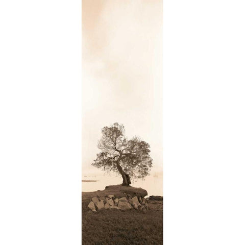 Coast Oak Gold Ornate Wood Framed Art Print with Double Matting by Blaustein, Alan