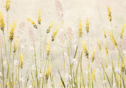 Actaea Simplex Black Ornate Wood Framed Art Print with Double Matting by Coghlan, Emma