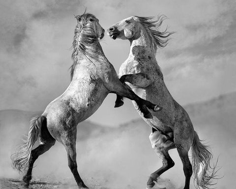 Challengers Black Ornate Wood Framed Art Print with Double Matting by Dearing, Lisa