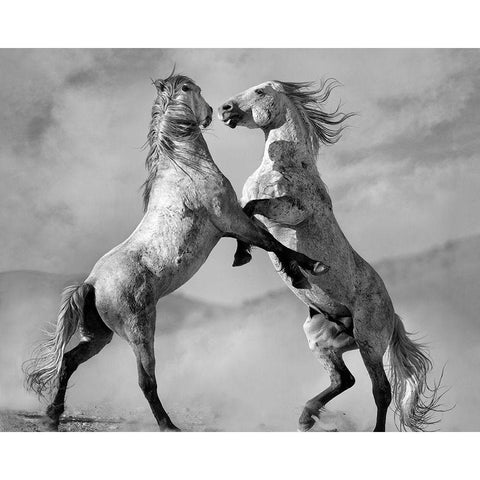 Challengers Black Modern Wood Framed Art Print by Dearing, Lisa