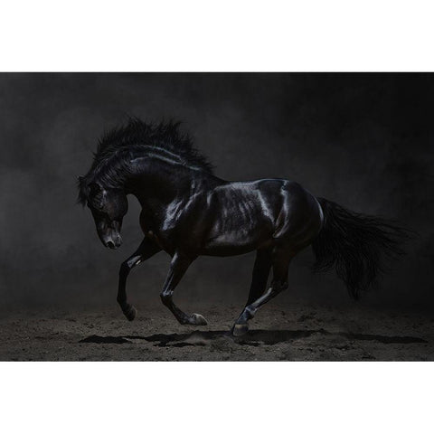 Onyx Black Modern Wood Framed Art Print with Double Matting by PhotoINC Studio