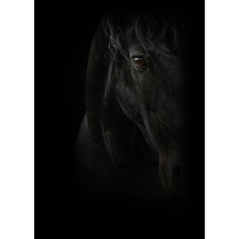 Black Pearl Gold Ornate Wood Framed Art Print with Double Matting by PhotoINC Studio