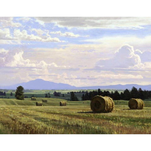 Fresh Cut Hay White Modern Wood Framed Art Print by Moore, Jay