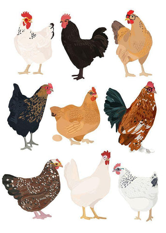 Hens In Glasses White Modern Wood Framed Art Print with Double Matting by Melin, Hanna