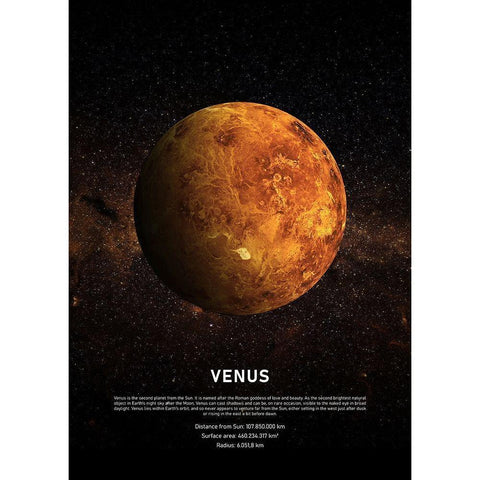 Venus Black Modern Wood Framed Art Print by Design Fabrikken