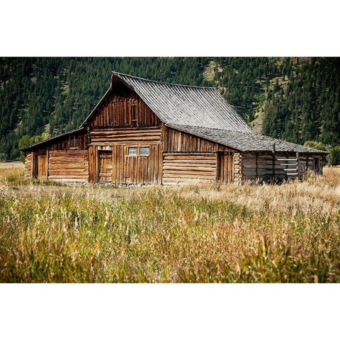 Teton Barn White Modern Wood Framed Art Print by Oldford, Tim