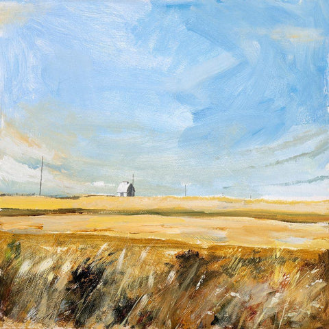 Country Sky Black Ornate Wood Framed Art Print with Double Matting by Paraskevas, Michael