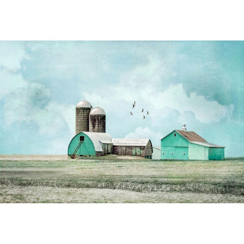 Aqua Barns Black Modern Wood Framed Art Print by Ryan, Brooke T.