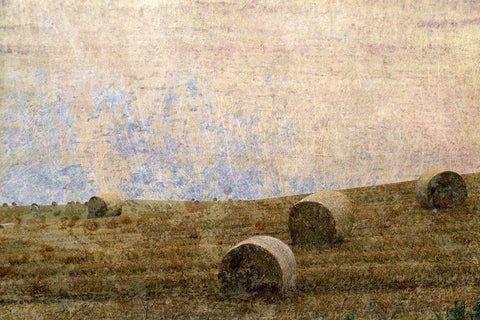 Dunnotar Fields White Modern Wood Framed Art Print with Double Matting by Ruest, Liz