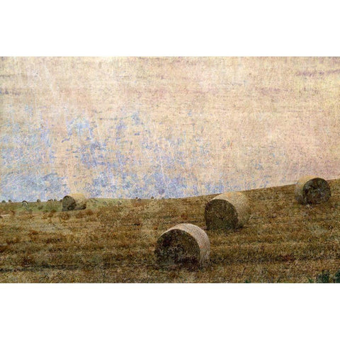 Dunnotar Fields Black Modern Wood Framed Art Print with Double Matting by Ruest, Liz